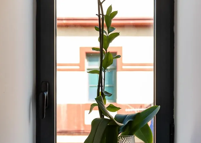 度假居 Canteras Aqua Essence - Private Pool & 大加那利岛拉斯帕尔马斯